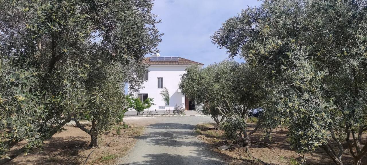 Kiti Village Villa, Cyprus, Salt-Water Pool, 6 Bedrooms, Larnaca Exteriér fotografie