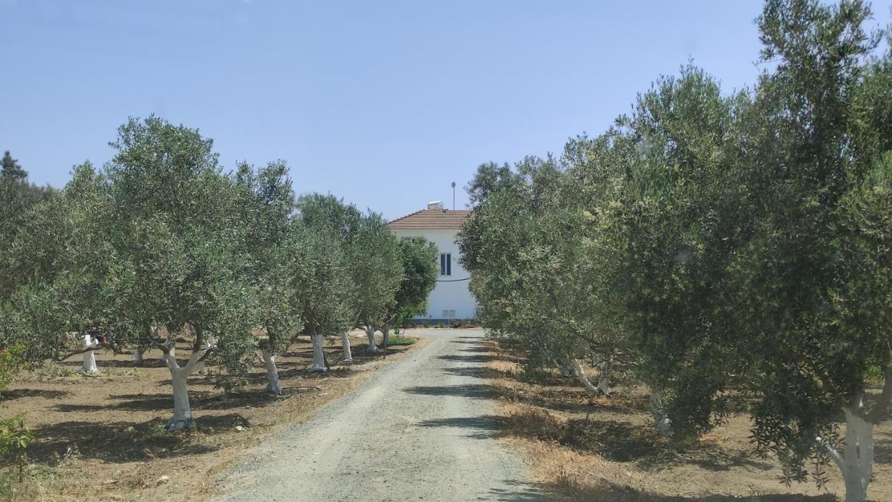 Kiti Village Villa, Cyprus, Salt-Water Pool, 6 Bedrooms, Larnaca Exteriér fotografie